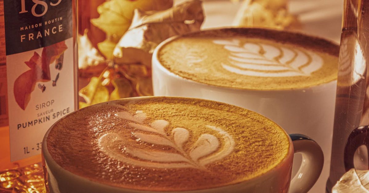 Scenic Brunch Locations: Melbourne's Hidden Gastronomic Gems
